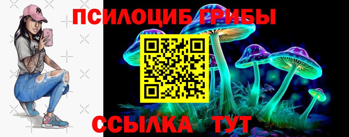 Псилоцибиновые грибы MAGIC MUSHROOMS  Вход с VPN  Петровск 